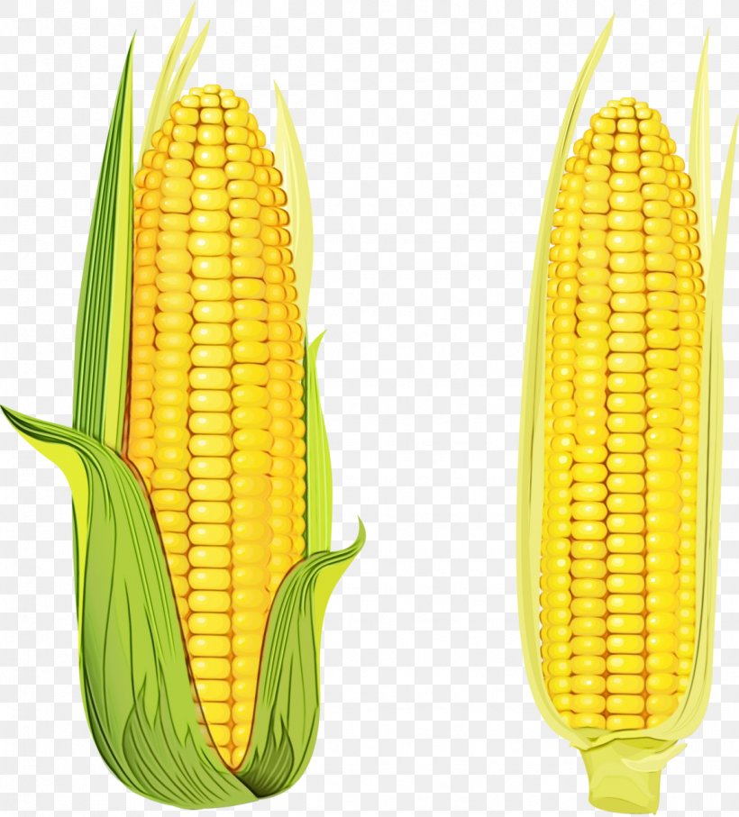 Corn Kernels Corn On The Cob Sweet Corn Corn Corn On The Cob, PNG, 1156x1280px, Watercolor, Corn, Corn Kernels, Corn On The Cob, Cuisine Download Free