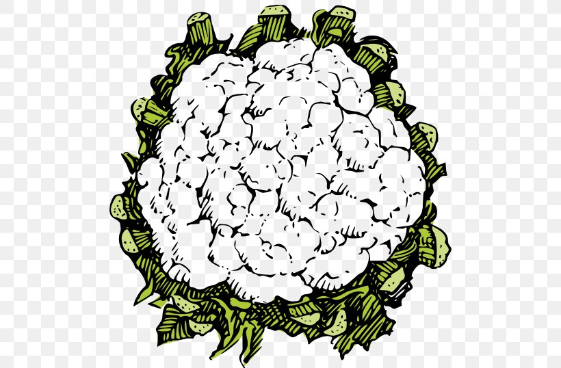 Drawing Vegetable Clip Art, PNG, 500x538px, Drawing, Artwork, Cauliflower, Cut Flowers, Flora Download Free