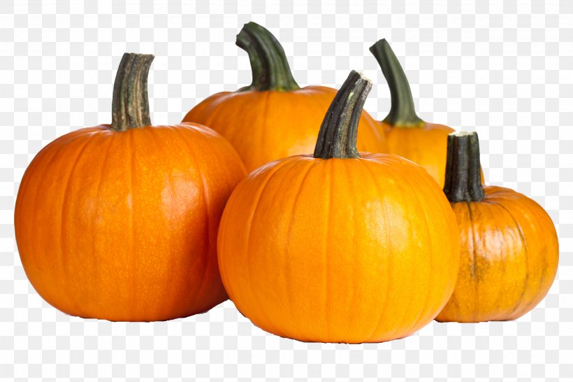 Pumpkin Pie Autumn Vegetable Jack-o'-lantern, PNG, 2500x1667px, Pumpkin, Auglis, Autumn, Calabaza, Cucumber Gourd And Melon Family Download Free