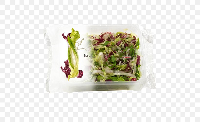 Vegetarian Cuisine Art Leaf Vegetable Food Salad, PNG, 500x500px, Vegetarian Cuisine, Art, Arugula, Card Stock, Dish Download Free