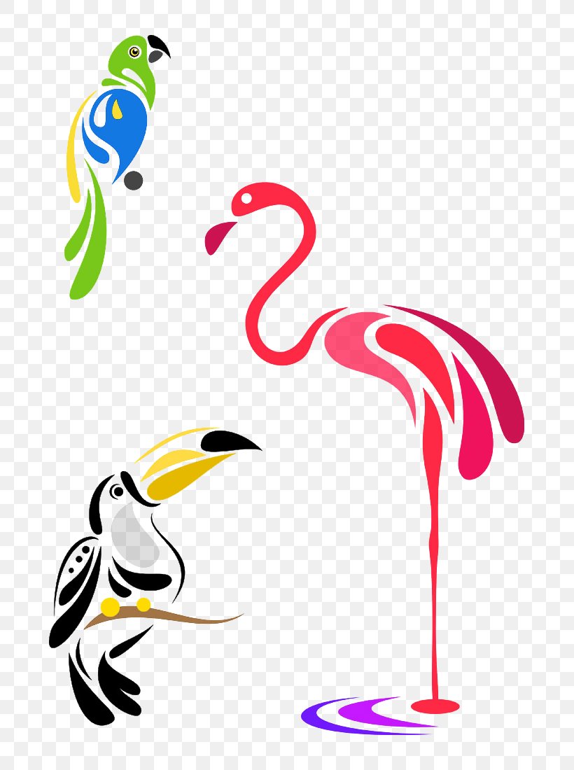 Bird Parrot Phoenicopterus Vector Graphics Stock Photography, PNG, 800x1100px, Bird, Art, Beak, Drawing, Parrot Download Free