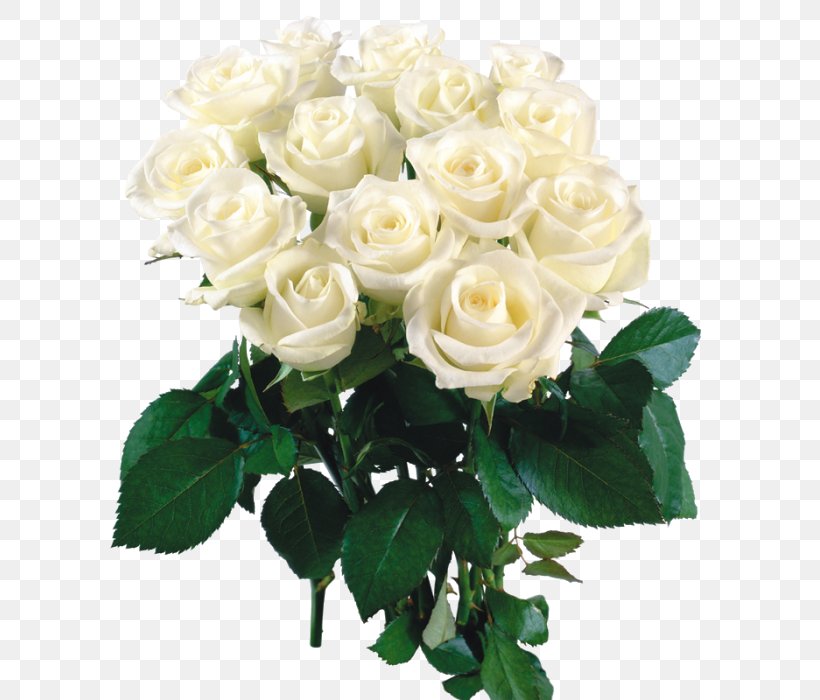 Birthday Букет з білих троянд Flower Bouquet Holiday Garden Roses, PNG, 611x700px, Birthday, Animaatio, Ansichtkaart, Artificial Flower, Cut Flowers Download Free