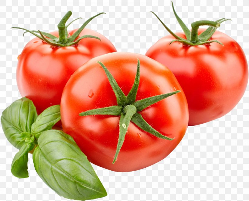 Roma Tomato Vegetable Food Cherry Tomato, PNG, 843x682px, Roma Tomato, Basil, Bush Tomato, Cherry Tomato, Cherry Tomatoes Download Free