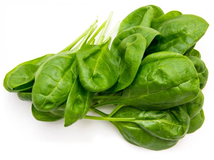 Spinach Stock Photography Leaf Vegetable Royalty-free Salad, PNG, 1200x900px, Spinach, Basil, Chard, Choy Sum, Cooking Download Free