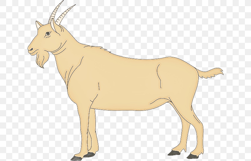 Antelope Wildlife Cow-goat Family Oryx Animal Figure, PNG, 640x526px, Antelope, Animal Figure, Common Eland, Cowgoat Family, Fawn Download Free