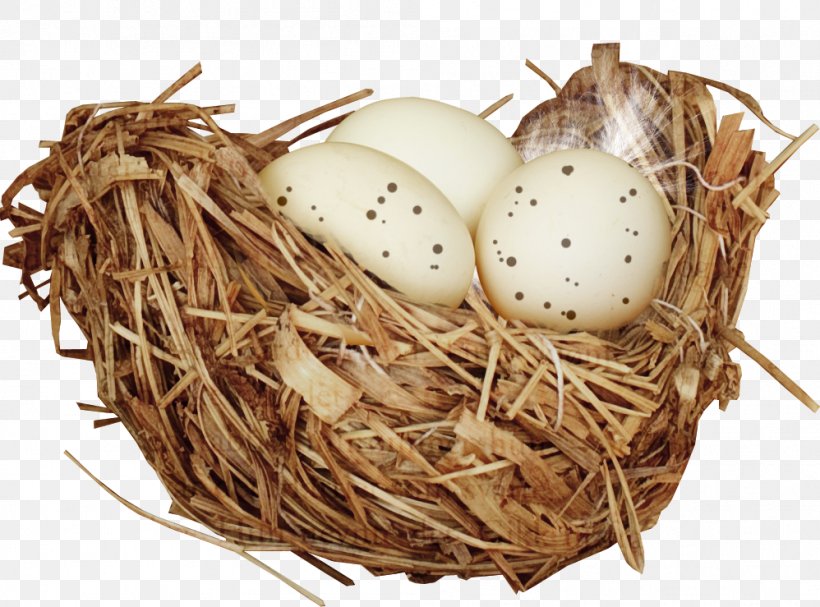 Bird Nest Bird Nest, PNG, 998x739px, Bird, Basket, Bird Nest, Clutch, Egg Download Free