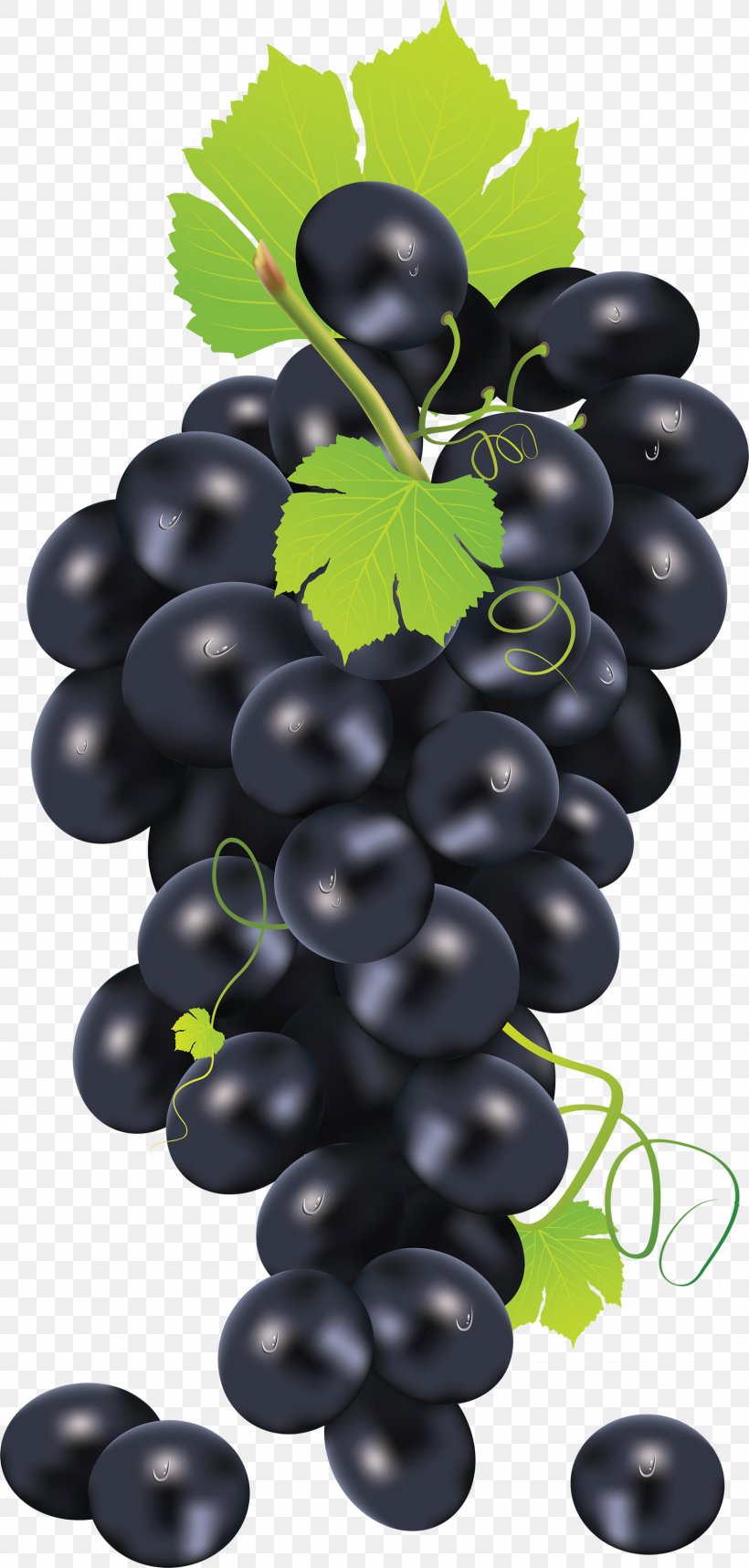 Common Grape Vine Juice Clip Art, PNG, 1670x3496px, Kyoho, Common Grape Vine, Flowering Plant, Food, Fruit Download Free