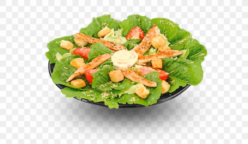 Romaine Lettuce Spinach Salad Vegetarian Cuisine Caesar Salad Food, PNG, 860x500px, Romaine Lettuce, Caesar Salad, Cruciferous Vegetables, Dish, Food Download Free