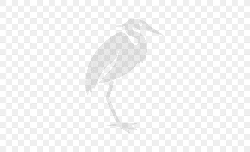 Stork Beak Water Bird Wader, PNG, 500x500px, Stork, Beak, Bird, Black And White, Ciconiiformes Download Free