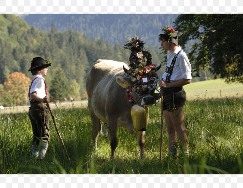 Almabtrieb AllgäuTop&LandHotels Tradition Party Horse, PNG, 900x700px, Almabtrieb, Adventure, Agriculture, Alps, Cattle Like Mammal Download Free