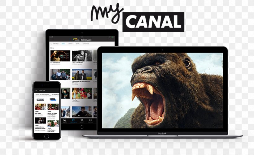 Canal+ Afrique Television Décodeur TV, PNG, 879x538px, Canal, Brand, Display Advertising, Electronic Device, Electronics Download Free