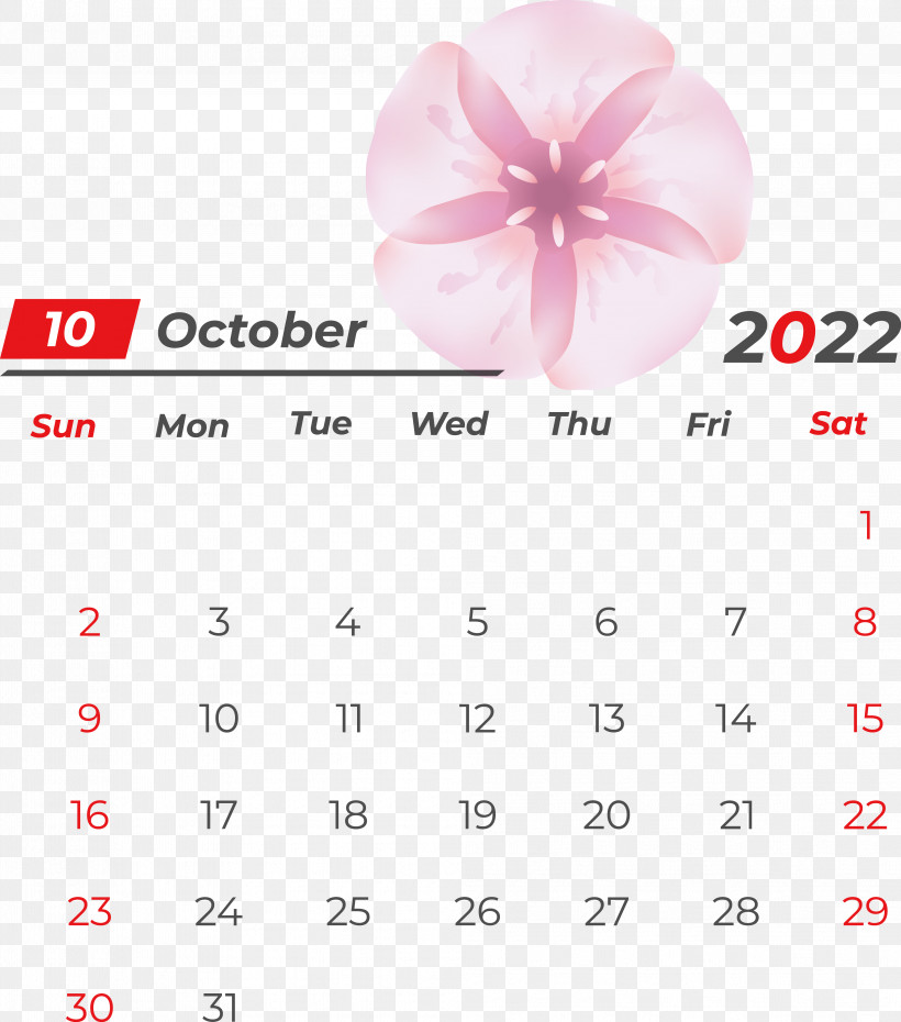 Line Calendar Font Petal Meter, PNG, 3974x4509px, Line, Calendar, Geometry, Mathematics, Meter Download Free