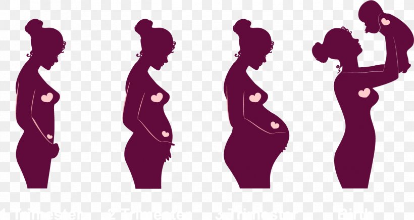 Pregnancy Childbirth Academic Quarter Embryo Infant, PNG, 1317x700px, Pregnancy, Academic Quarter, Childbirth, Embryo, Human Embryogenesis Download Free