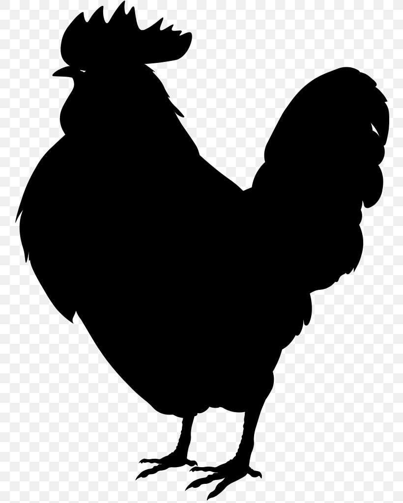 Rooster Leghorn Chicken Plymouth Rock Chicken Phoenix Chicken Rhode Island Red, PNG, 764x1024px, Rooster, Beak, Bird, Black And White, Chicken Download Free