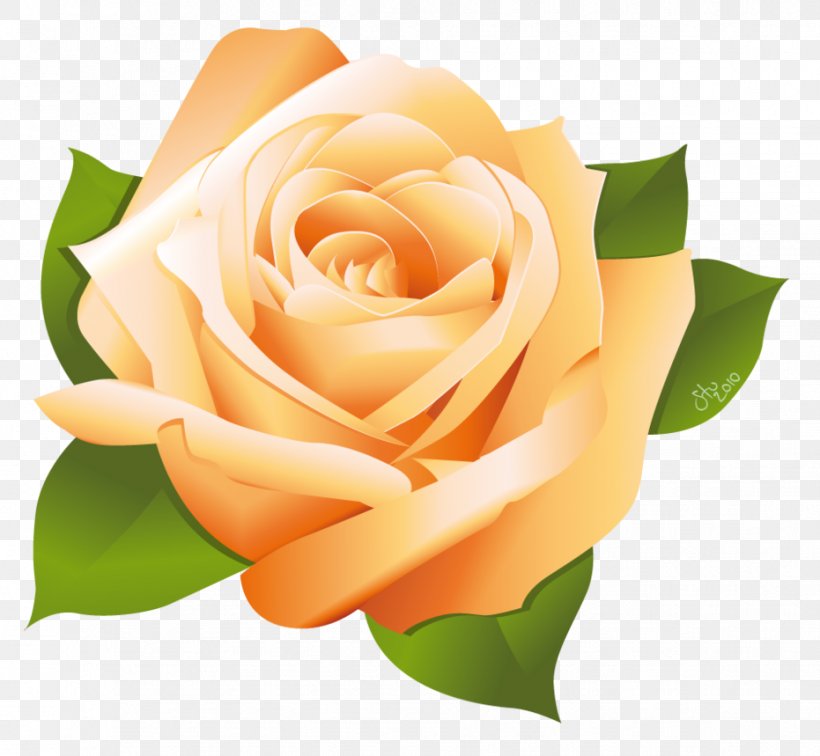 Rose Clip Art, PNG, 931x859px, Rose, Art, Color, Cut Flowers, Floral Design Download Free