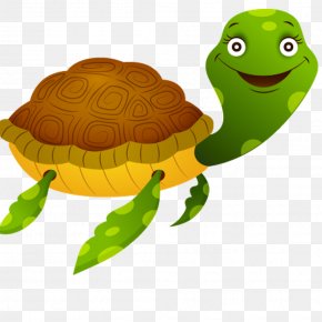 Tortoise Sea Turtle Roblox Png 512x512px Tortoise Green Organism Reptile Roblox Download Free - roblox reptile