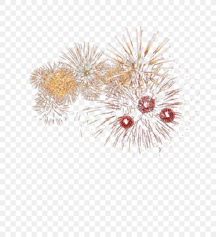Fireworks Transparency And Translucency Drawing, PNG, 800x900px, Fireworks, Drawing, Flower, Petal, Photography Download Free