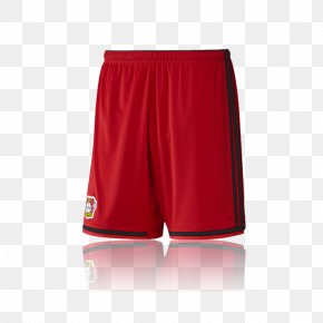 Swim Briefs Trunks Shorts PNG