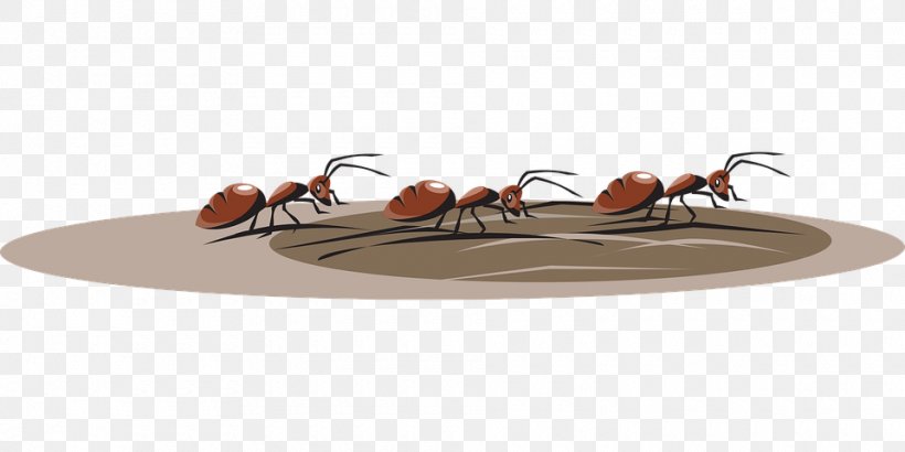 Ant Insect Clip Art Vector Graphics Image, PNG, 960x480px, Ant, Animal, Arthropod, Digital Image, Fire Ant Download Free