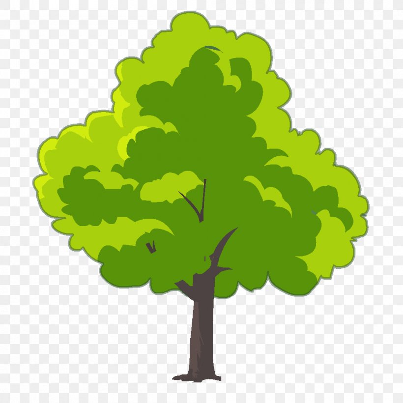 Drawing Tree Game, PNG, 1000x1000px, Drawing, Branch, Cartoon, Educational Game, English Download Free