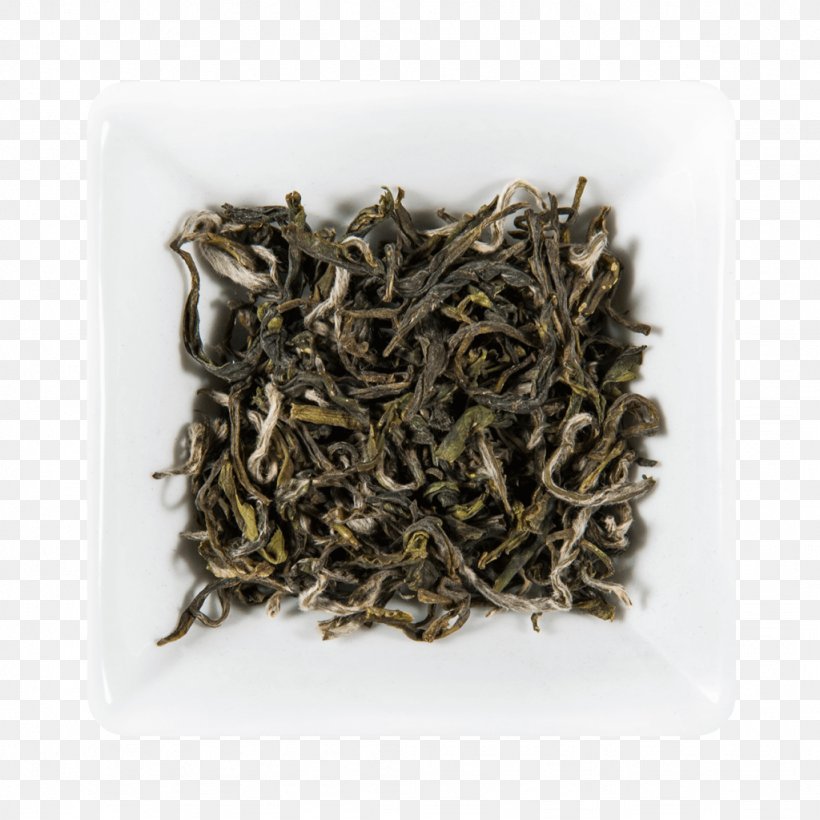 Oolong Darjeeling Tea White Tea Baihao Yinzhen, PNG, 1024x1024px, Oolong, Assam Tea, Bai Mudan, Baihao Yinzhen, Bancha Download Free