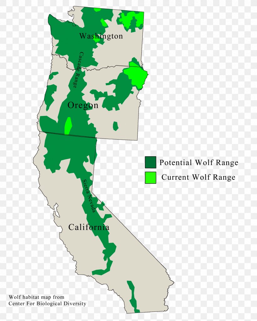 Oregon Coast Range British Columbia Wolf U.S. Route 101 In Oregon Territory, PNG, 2400x3000px, Range, Area, California, Coast, Gray Wolf Download Free