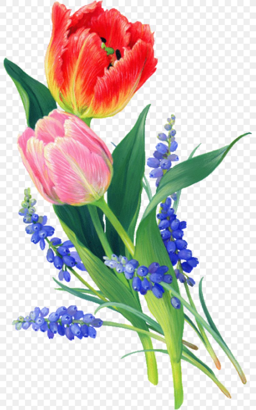 Animation Flower The Martyrdom Of St Sebastian Birthday, PNG, 800x1313px, Animation, Birthday, Cut Flowers, Emoticon, Floral Design Download Free