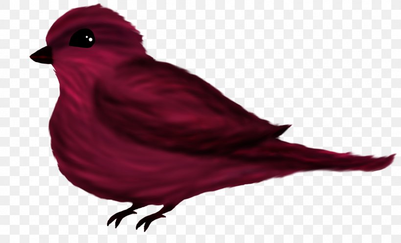 Beak Feather RED.M, PNG, 1865x1132px, Beak, Bird, Cardinal, Feather, Red Download Free