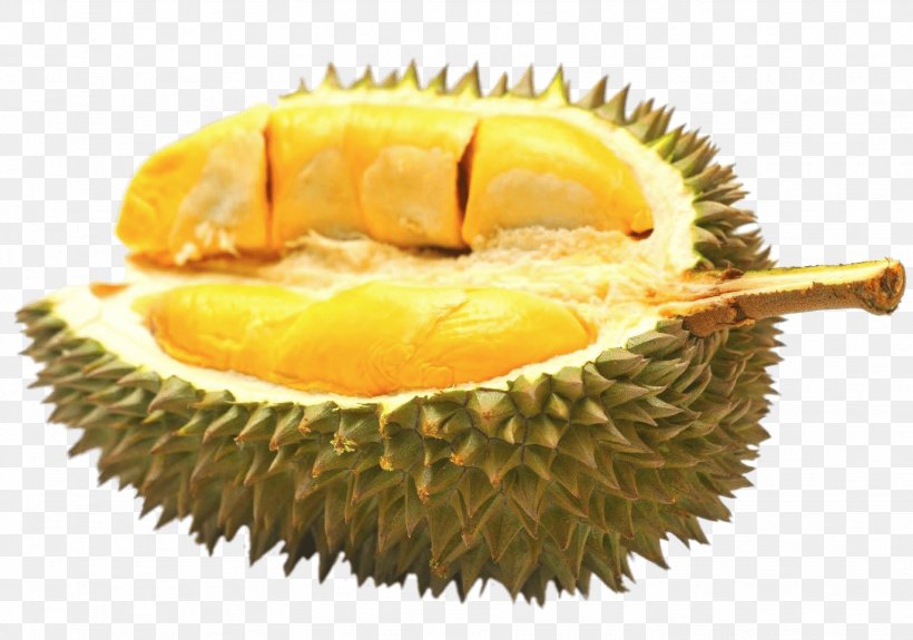 Durio Zibethinus Durian Pancake Auglis Fruit Flavor, PNG, 1537x1078px, Durio Zibethinus, Auglis, Benih, Daging Buah, Durian Download Free