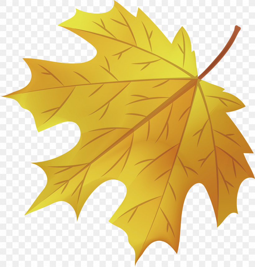Maple Leaf, PNG, 2860x3000px, Maple Leaf, Biology, Leaf, Maple, Plane Tree Family Download Free