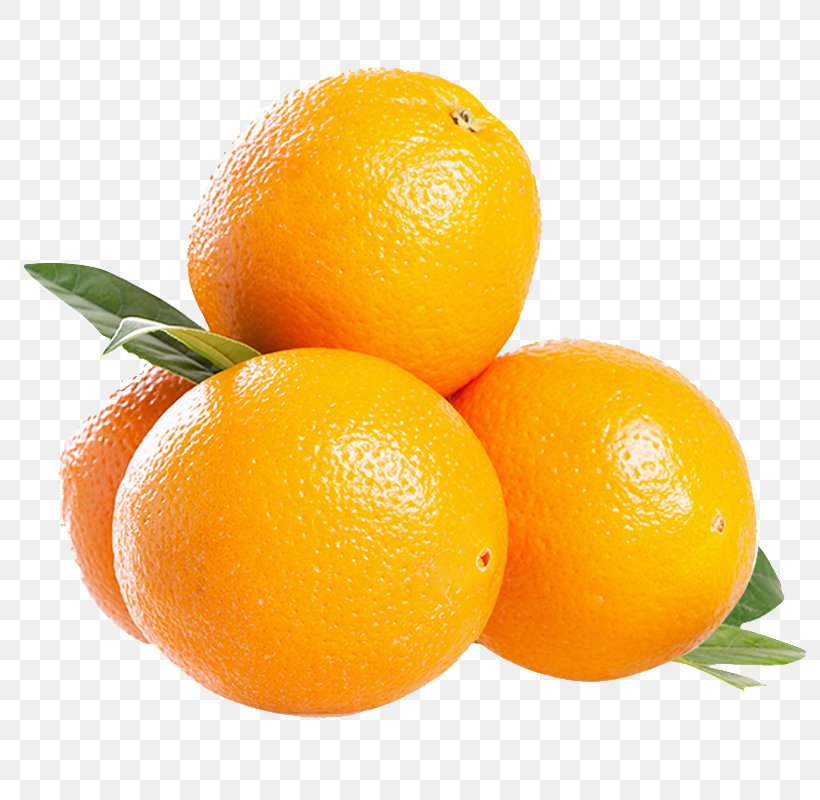 South Africa Blood Orange Mandarin Orange Tangelo, PNG, 800x800px, South Africa, Bitter Orange, Blood Orange, Citric Acid, Citrus Download Free
