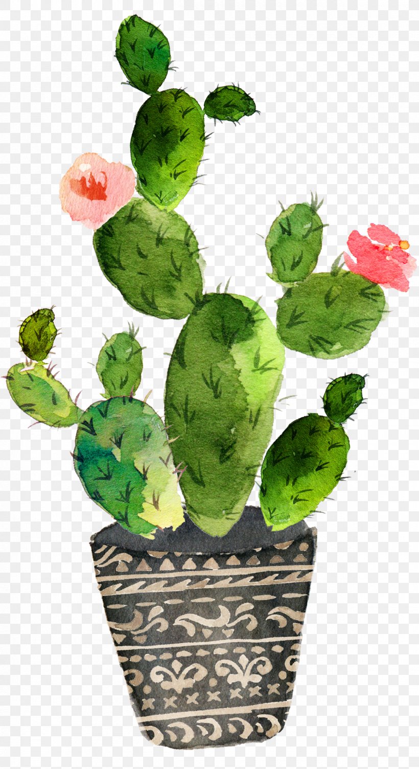 Cactaceae Watercolor Painting Succulent Plant, PNG, 1200x2201px, Cactaceae, Art, Barbary Fig, Cactus, Canvas Download Free