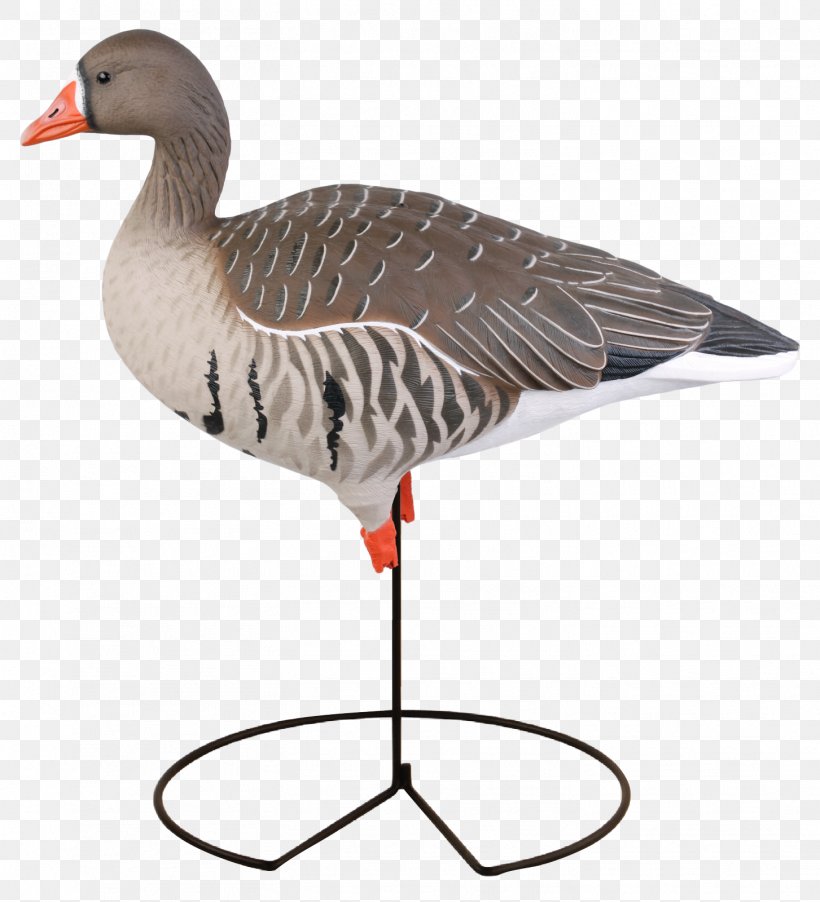 Greater White-fronted Goose Duck Mallard Decoy, PNG, 1453x1600px, Goose, Anserinae, Beak, Bird, Decoy Download Free
