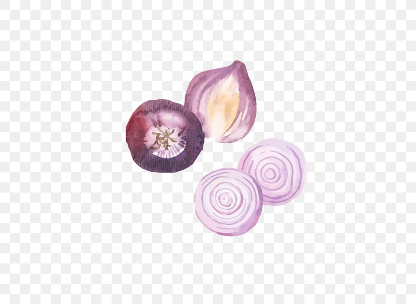 Onion Watercolor Painting Food, PNG, 600x600px, Onion, Cartoon, Color, Drawing, Food Download Free