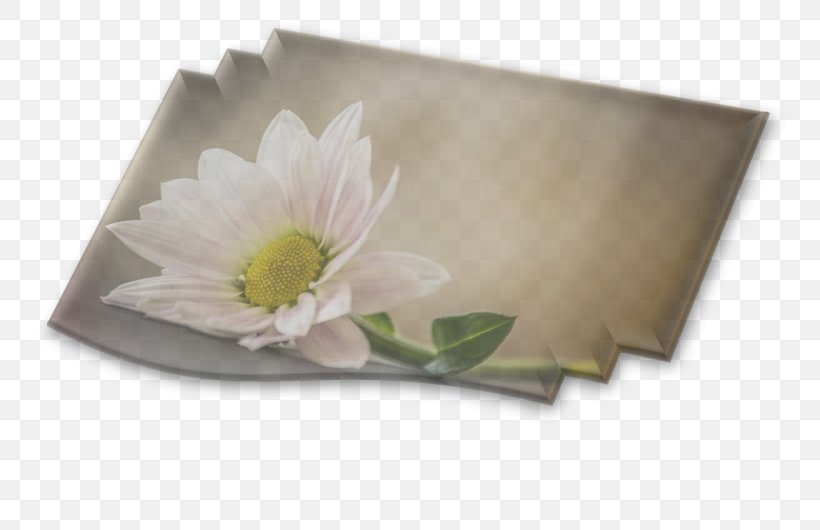 Rectangle, PNG, 787x530px, Rectangle, Flower, Petal Download Free