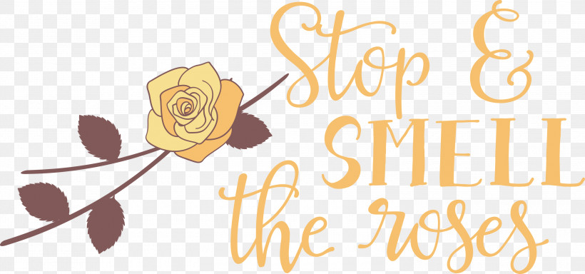 Rose Stop And Smell The Roses, PNG, 3000x1406px, Rose, Floral Design, Logo, Meter, Stop And Smell The Roses Download Free