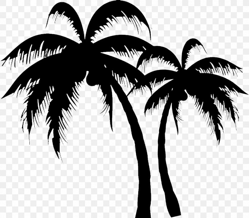 Silhouette Arecaceae Drawing, PNG, 1014x889px, Silhouette, Arecaceae, Arecales, Black And White, Branch Download Free