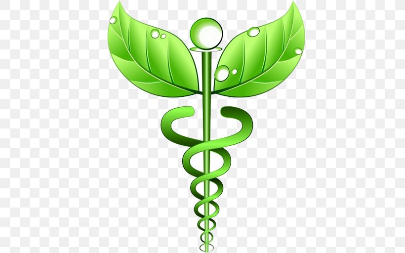 Alternative Health Services Naturopathy Medicine Staff Of Hermes Health Care, PNG, 512x512px, Alternative Health Services, Acupuncture, Caduceus As A Symbol Of Medicine, Disease, Flora Download Free