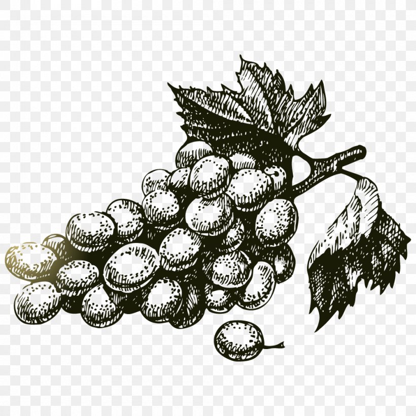 Common Grape Vine Wine Vintage, PNG, 1000x1000px, Common Grape Vine, Bottle, Drawing, Food, Fruit Download Free