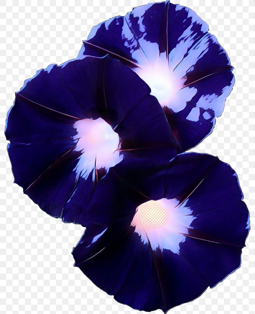 Pansy Morning Glory, PNG, 791x1010px, Pansy, Annual Plant, Blue, Cobalt Blue, Flower Download Free