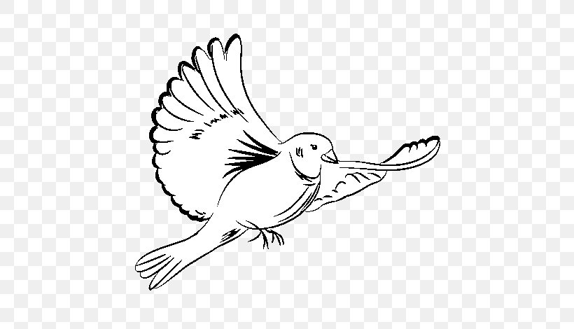 Pigeons And Doves Coloring Book Drawing Image Doves As Symbols, PNG, 600x470px, 2018, Pigeons And Doves, Art, Artwork, Beak Download Free