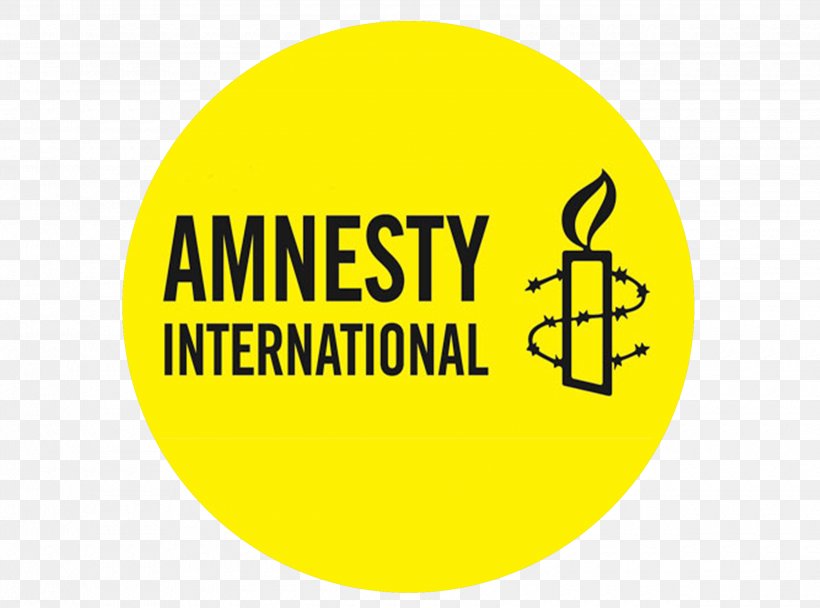 Universal Declaration Of Human Rights Amnesty International Human Rights Action Center Organization, PNG, 2480x1839px, Amnesty International, Amnesty International Australia, Area, Asylum Seeker, Australia Download Free