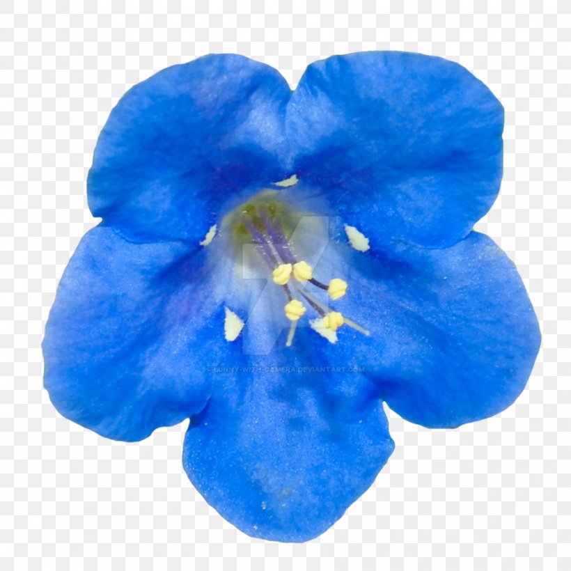 Blue Flower Clip Art Desktop Wallpaper, PNG, 894x894px, Blue, Camera, Cobalt Blue, Color, Flower Download Free