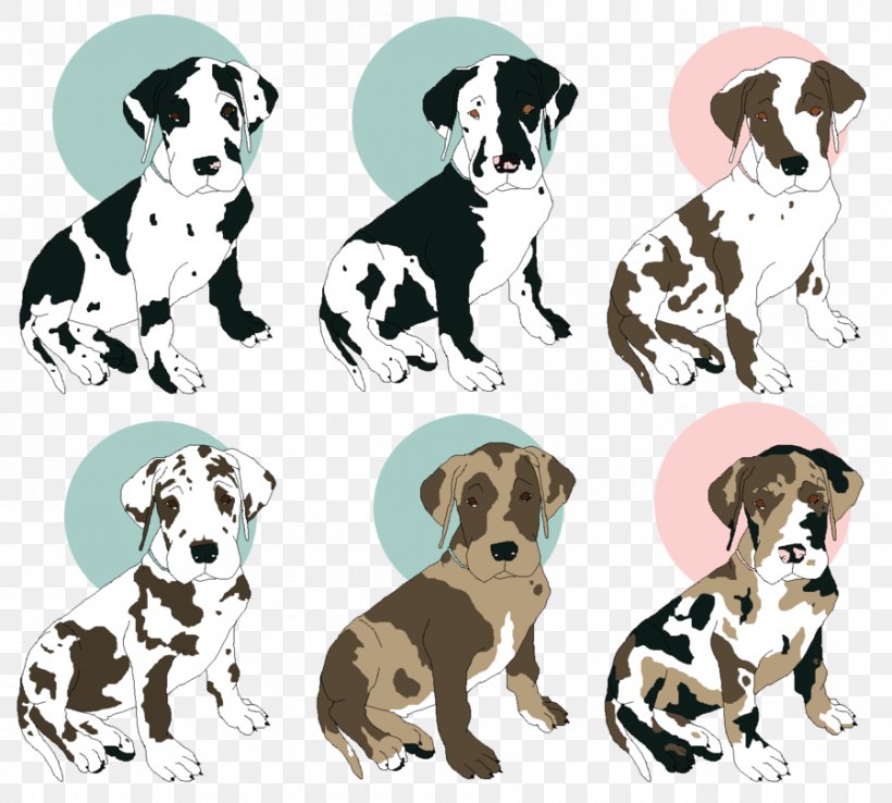 Dalmatian Dog Puppy Dog Breed Companion Dog German Shepherd, PNG, 900x810px, Dalmatian Dog, Australian Shepherd, Breed, Carnivoran, Companion Dog Download Free