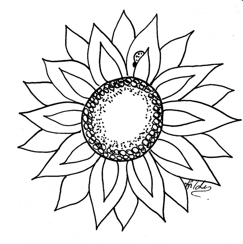 Drawing Black And White Common Sunflower Clip Art, PNG, 1453x1459px,  Drawing, Artwork, Black And White, Common