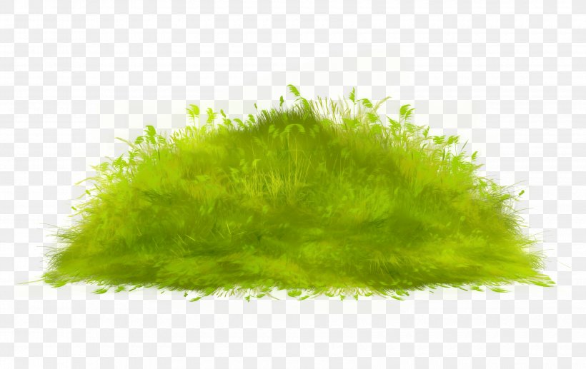 Grass Lawn, PNG, 3400x2147px, Grass, Data Compression, Grassland, Green, Haystack Download Free