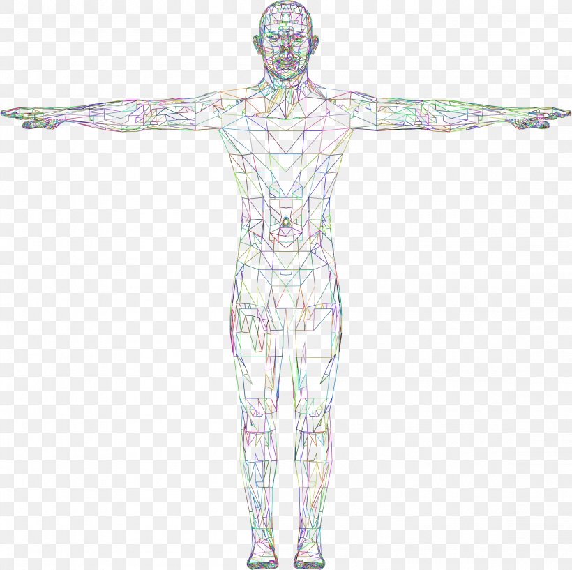 Homo Sapiens Human Body Computer Art, PNG, 2304x2298px, Watercolor, Cartoon, Flower, Frame, Heart Download Free
