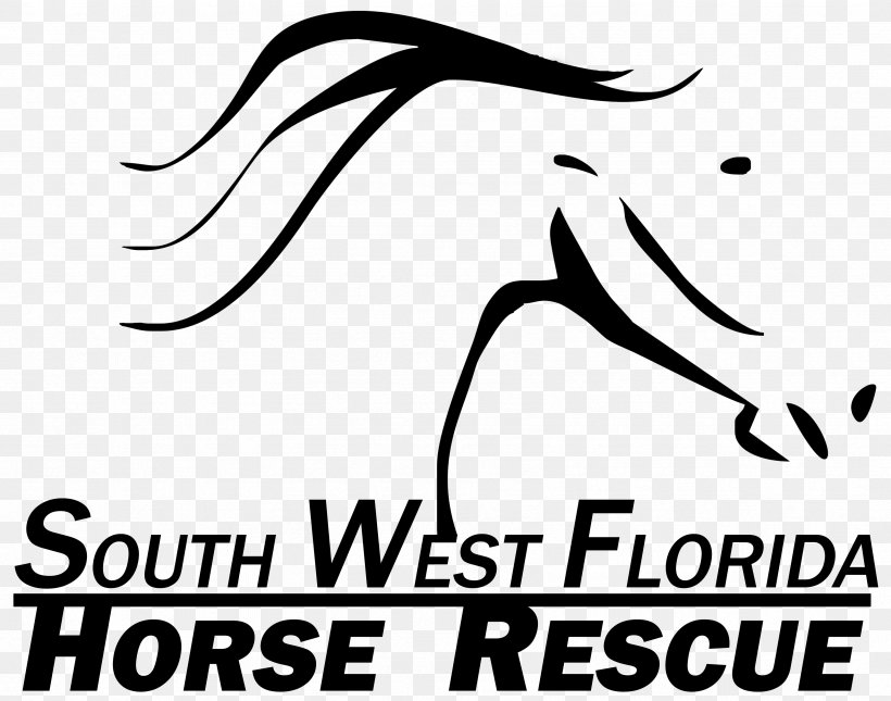 South West Florida Horse Rescue, Inc. Logo Equestrian, PNG, 3384x2664px, Watercolor, Cartoon, Flower, Frame, Heart Download Free