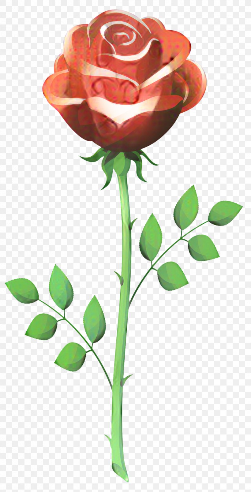 Vector Graphics Clip Art Rose Drawing, PNG, 1221x2395px, Rose, Botany, Bud, Cut Flowers, Drawing Download Free