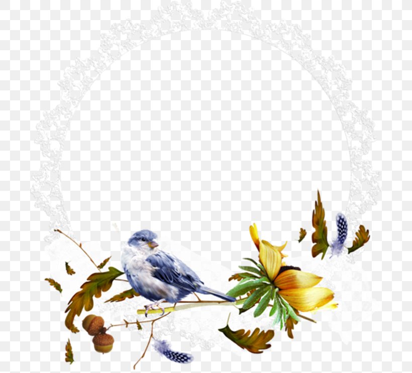 Bird Download Clip Art, PNG, 700x743px, Bird, Art, Beak, Border, Branch Download Free